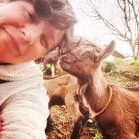 Chez Hermine et Dimi... Séjour à la ferme