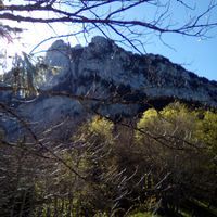 L appartement de Celine