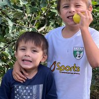 La maison de villemur