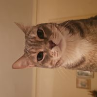 Quite Room with Private Bathroom