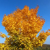 Mon cocon dans les Abruzzes