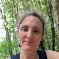 Logement au coeur du village de Lautrec