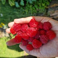 La maison de Angelika