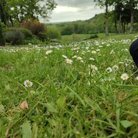 La maison de Cécile