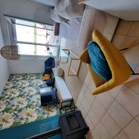 sophie's house