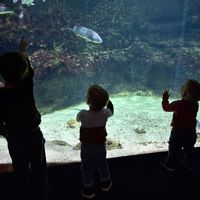 Ma maison ! Que j'ai choisie pour une vie de famille avec enfants - idéale jumeaux ou plus