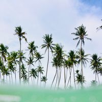 Appartement à l’océan avec terrasse