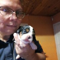 La maison de Nathalie