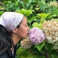 Bright & Peaceful flat