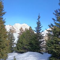 Les chatons, 15min de Rouen