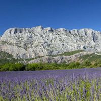 Home in Aix-En-Provence