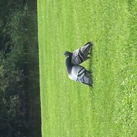 maison d Adil a Alicante