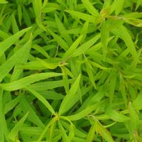 Gîte rural pleine nature