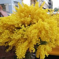 La maison de Sagrario