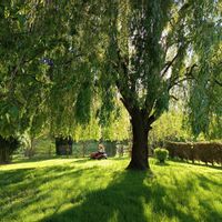 La maison de Anthony