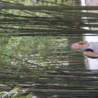 Studio plain pied au calme