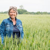 La maison de Dominique