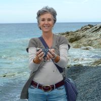 Chez Catherine  ..Appartement confortable ,Spacieux , grande Terrasse  , Vue sur le Port