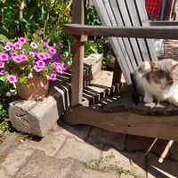 La maison de Virginie