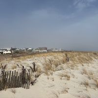 Walk or Bike to Beach! Train to NYC! (Adults preferred)