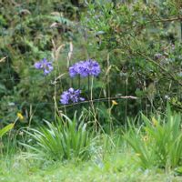 La chambre privée de Ghislaine