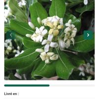 La maison de Julie et Xavier