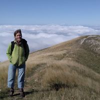 La chambre privée de Alcine
