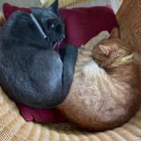 La maison de Claudia