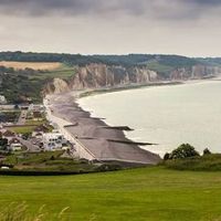 Un nid sous les toits de Dieppe