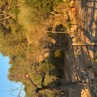 Casa di Ramon i Aina Pons