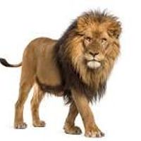 La maison de Laurent