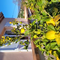 Maison à Mandelieu-la-Napoule