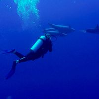 Maison à Courrendlin, Suisse