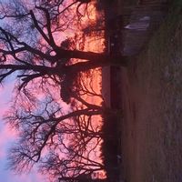 La Landaise de Pascal et Mary-Elise