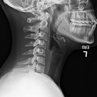 La maison de Stephanie