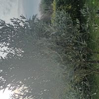 La maison de Isabelle