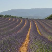Maison en pleine nature à l'entrée du parc régional du Verdon