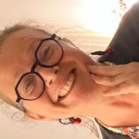 Petite maison avec jardin dans le centre de Chinon