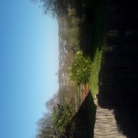 Alain's house