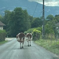 La maison de Clarisse