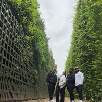 Thayse Rodriguess hus