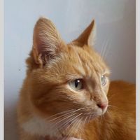 Maison familiale au cœur de la campagne cauchoise