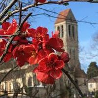 Chambre privée équipée