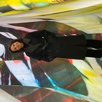 Un joli appartement citadin «  dans les arbres » pour un couple , une famille, ou un groupe d  amis