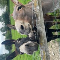 Longère atypique - séjour cathédrale
