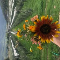 Petite maison cévenole en plein cœur d'un verger.