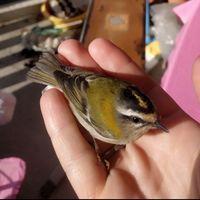 Maison en coeur de Savoie