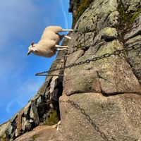 La chambre privée à la campagne