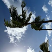 La chambre privee dans mon appartement au 2 eme étage sans ascenseur