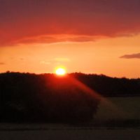 En Vendée, Puy du Fou et autres attraits touristiques variés. Petite maison fonctionnelle.